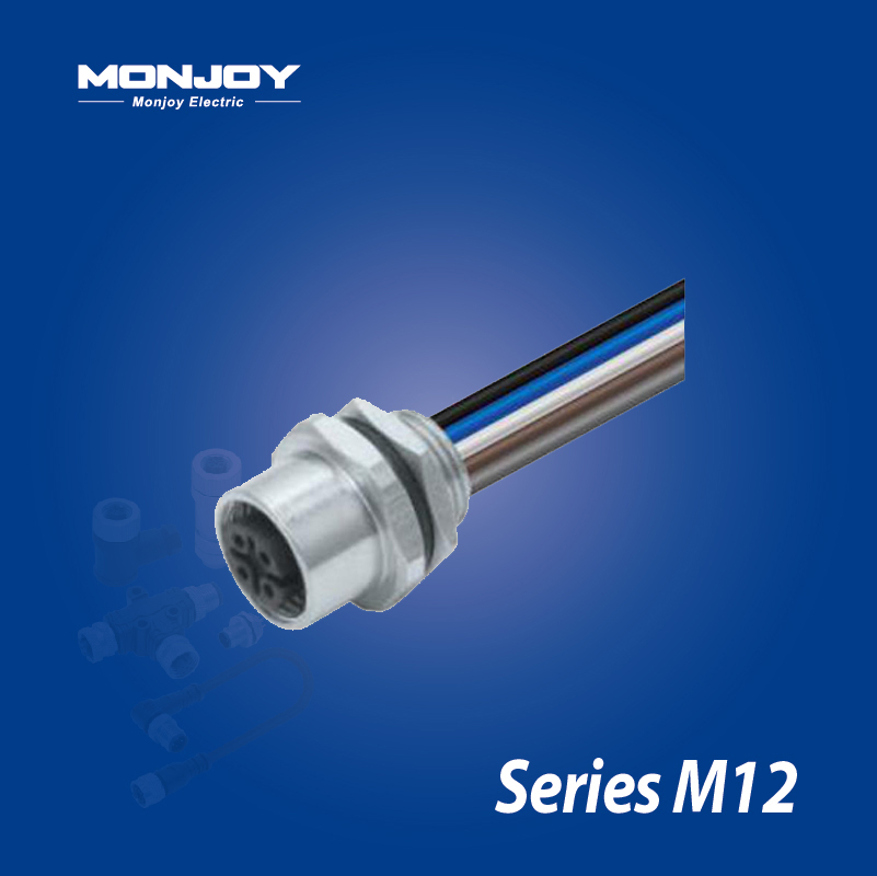 M12*1.0，D標(biāo)準(zhǔn)，孔，帶連接線(xiàn)， 板后，底座（L=0.2m）