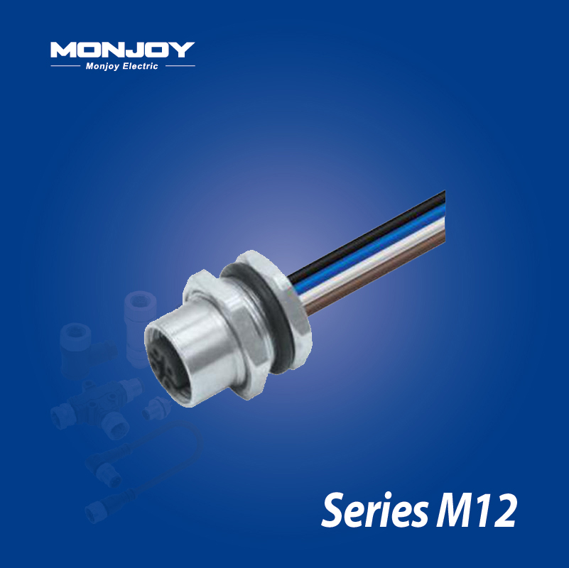 M12*1.0，D標(biāo)準(zhǔn)，孔，帶連接線(xiàn)， 板前，底座（L=0.2m）